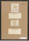 Campylodiscus americanus Ehr. (de-Toni-Nr.: Genus 57, Species 2524) Zeichnungen Sammlung Grunow Nr. 5032 (NHMW-BOT-W0373290)